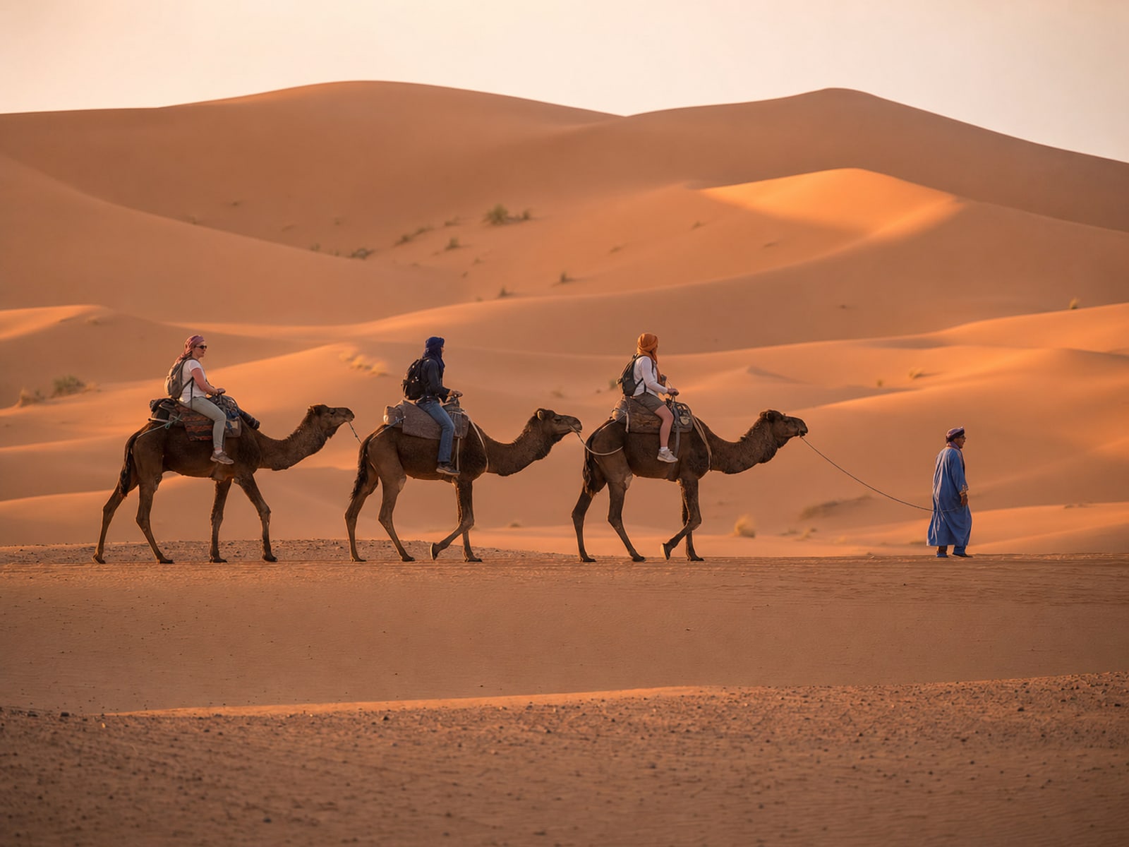 A small camel caravan crossing the Erg Chebbi dunes near Merzouga on a Sahara tour from Marrakech